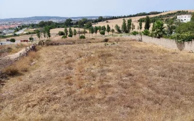 Bejaarde broers vechten om grond in Tetouan, één dode