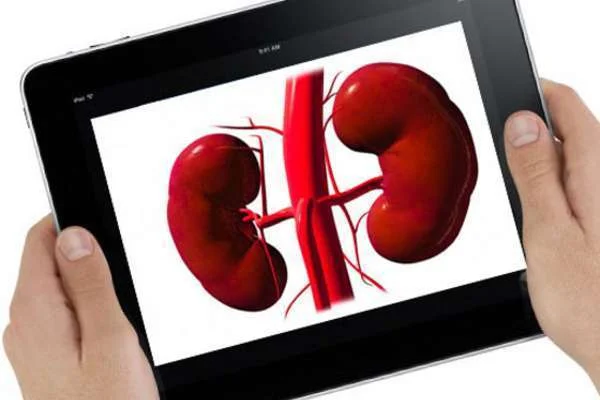 Marokkaanse vrouw verkoopt nier om kinderen te voeden