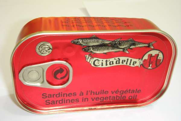 Marokko is grootste visproducent in Arabische wereld en Afrika