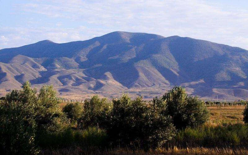 Vier aardbevingen in dag tijd geregistreerd in Driouch