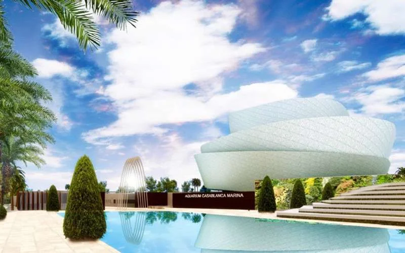 Zo zal het nieuw aquarium van Casablanca eruitzien