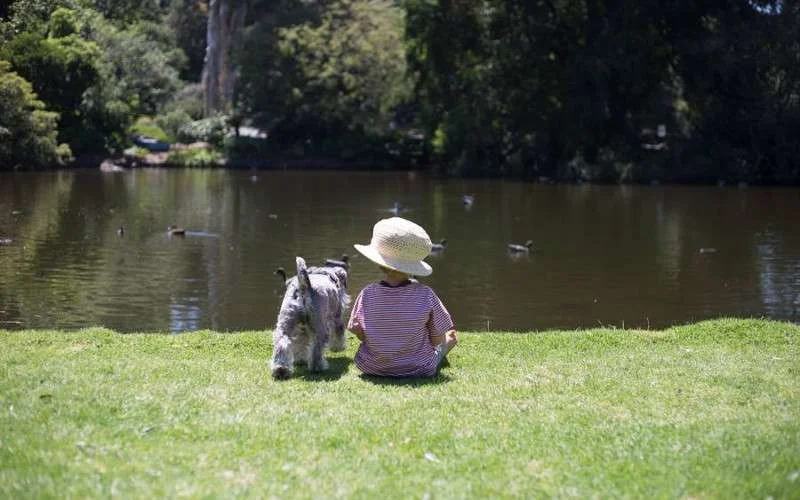 Operatie Marokkaanse peuter zonder gezicht geslaagd