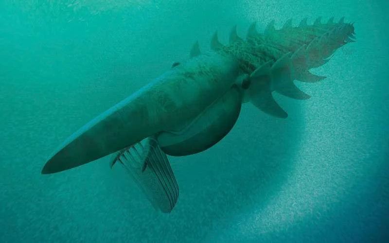 Zeemonster van ruim twee meter ontdekt in Marokko