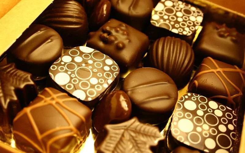 Marokko stuurde bonbons naar zieke President Bouteflika