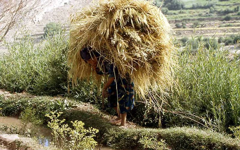 Oproep: verlaag salaris ministers om Marokko uit crisis te halen