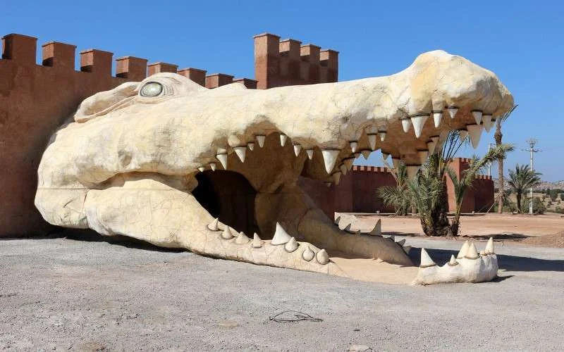 Rondleiding in het nieuwe krokodillenpark van Agadir