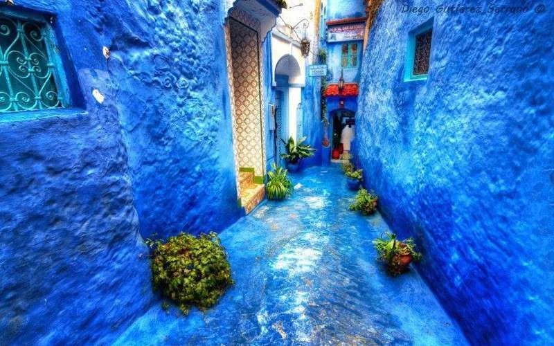 Wat dacht je van een bezoekje aan Chefchaouen?