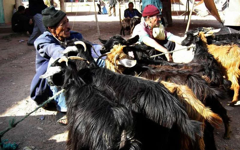 Lynchpartij in Marokko: getuige wordt gek