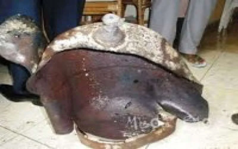 Eén dode en twee gewonden in een ontploffing te Fez