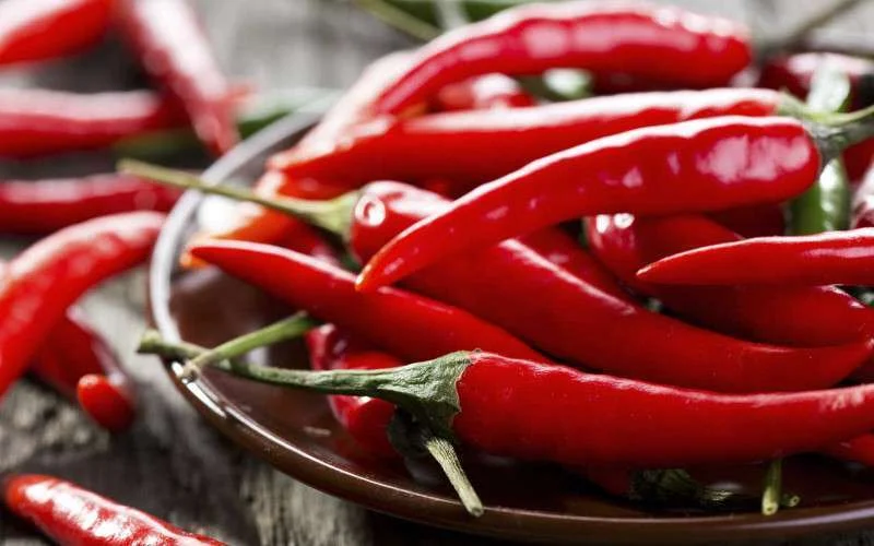 Buschauffeur met peper aangevallen in Fez