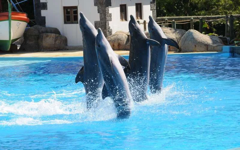 Agadir krijgt eigen pretpark 'Agadirland'