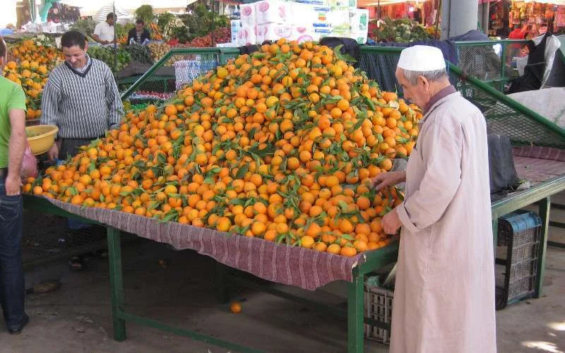 Marokko ontvangt 720 miljoen van Japan voor landbouwsector