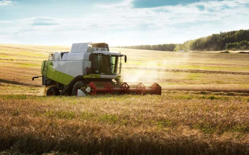 Canada wil arbeidskracht uit Marokko laten komen