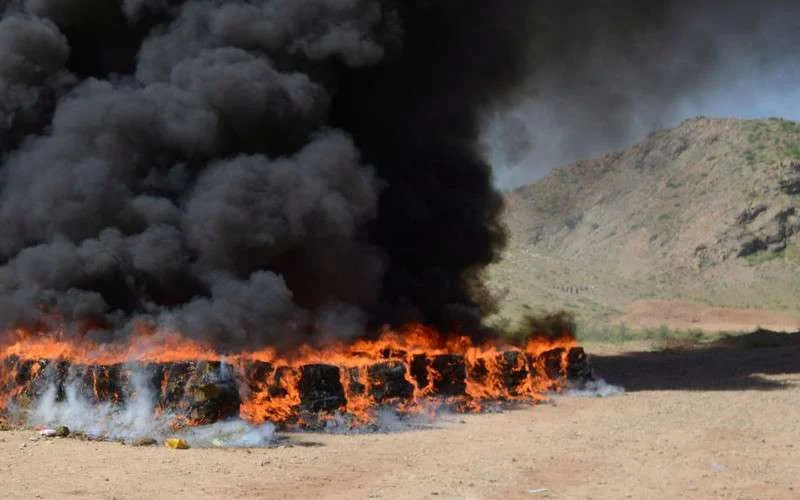 Ruim 10 ton drugs vernietigd in Tanger