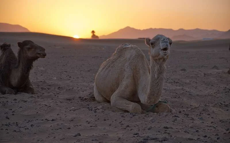 Zomerweer terug in Marokko