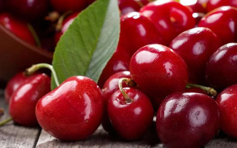 Ain Leuh trots op kersenproductie (video)