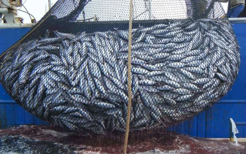 Russen mogen in Marokkaanse wateren vissen