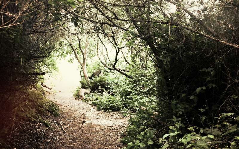 24 jaar cel voor verkrachting gehandicapte tiener in Marokko