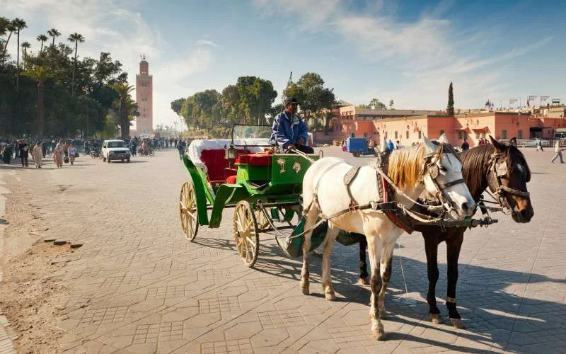 Toeristen komen minder maar geven meer uit in Marokko