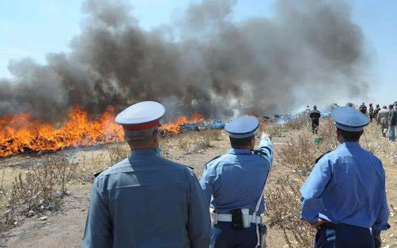 Ruim 4 ton drugs vernietigd in Laayoune