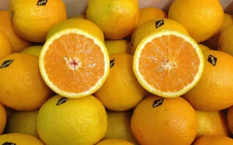 VS verbiedt opnieuw invoer Marokkaanse citrusvruchten