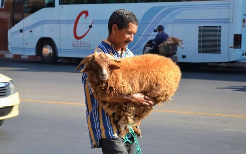 Marokko viert Eid al-Adha op 1 september 2017