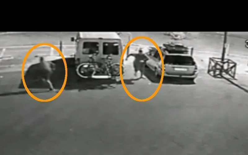 Spaanse politie arresteert bende die wereld-Marokkanen op rustplaatsen beroofde