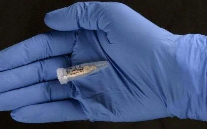 Oudste DNA-sporen van Afrika in Marokko ontdekt