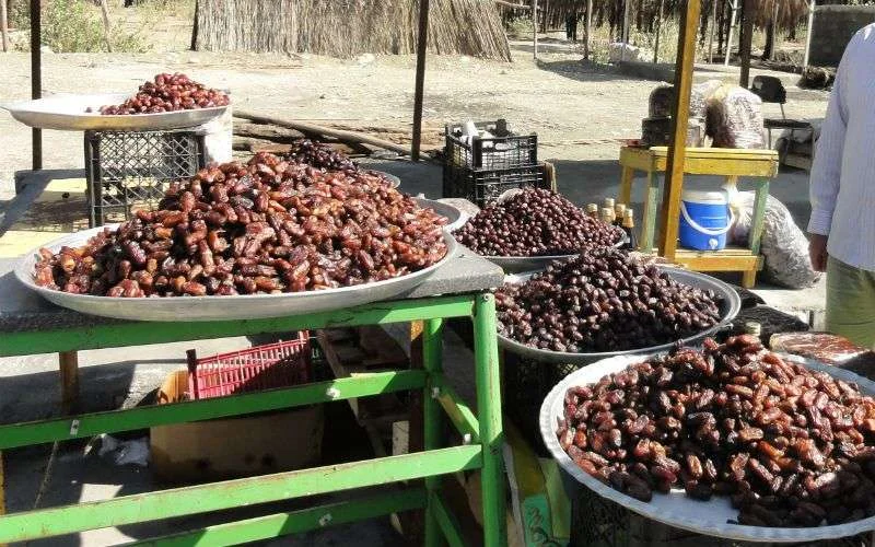 Marrakech: 14 ton bedorven dadels in beslag genomen