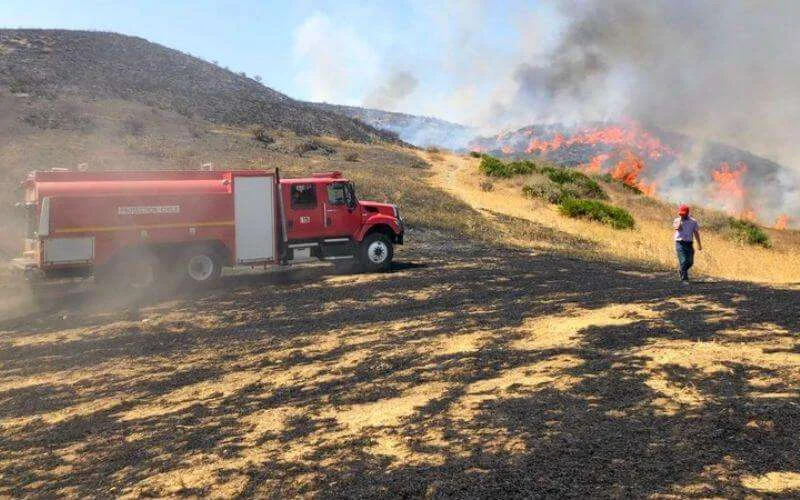 Tanger: 72 hectare bos in de as gelegd