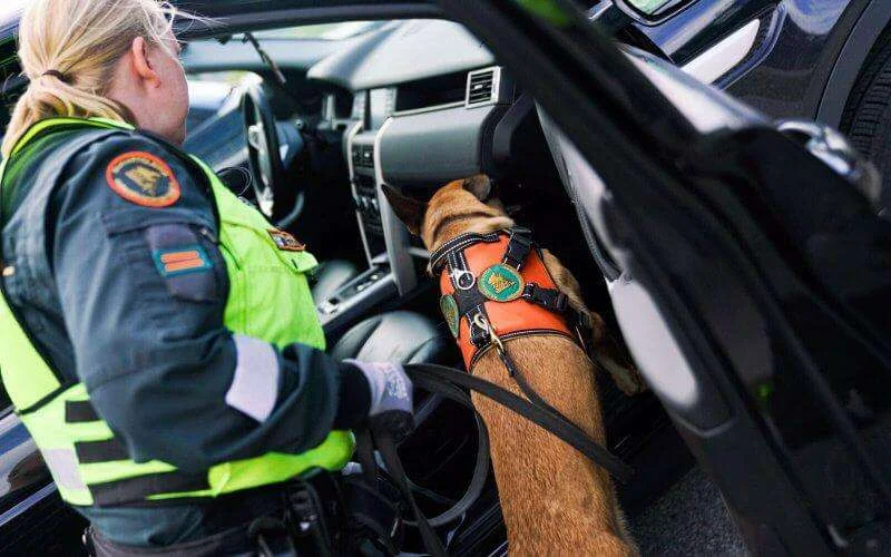 Interpol leidt grote operatie tegen wapensmokkel in Marokko