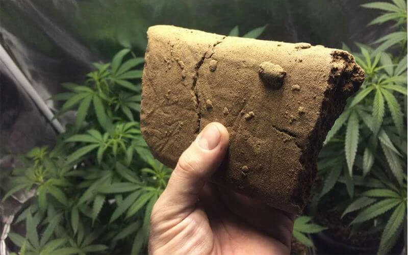 Marokko: Fransen in Tanger opgepakt voor drugssmokkel