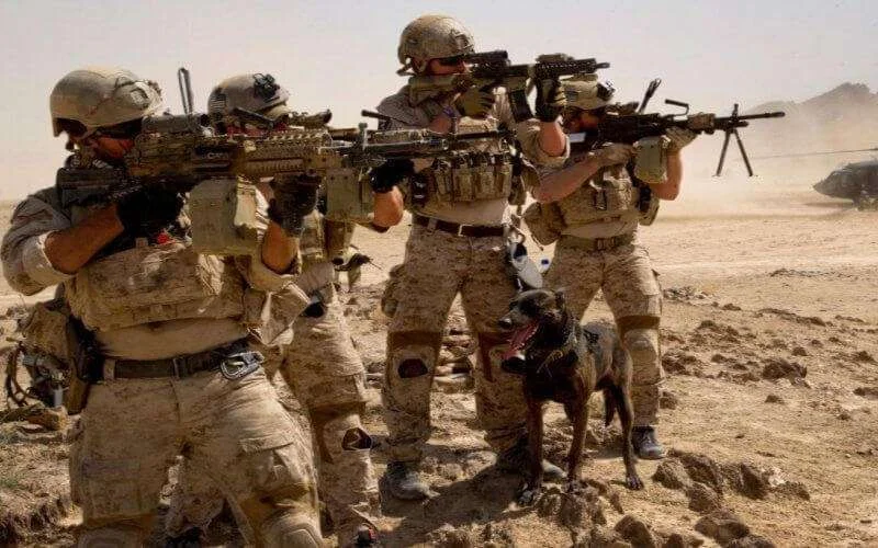Marokko en Algerije nemen samen deel aan militaire oefening