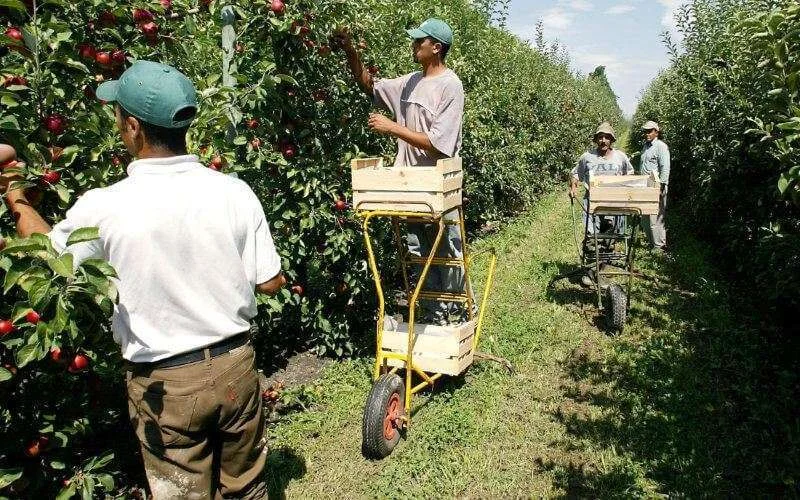 Marokkaanse slaven in Frankrijk?