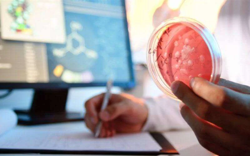 Marokkaanse wetenschappers vinden middel tegen prostaatkanker