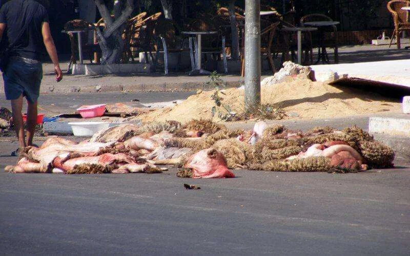 Eid ul-Adha: ruim 7000 ton afval in straten Tanger