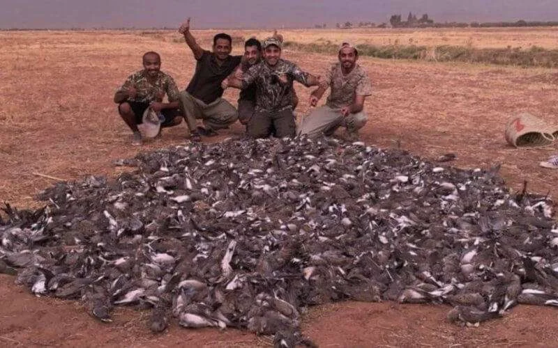 Marokko: onderzoek naar "ecologisch bloedbad" Arabische toeristen