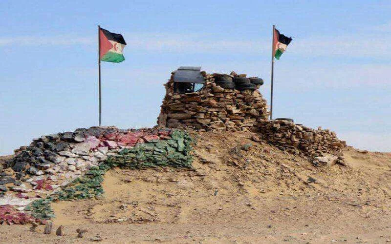 Turkse schrijver hekelt steun aan Polisario