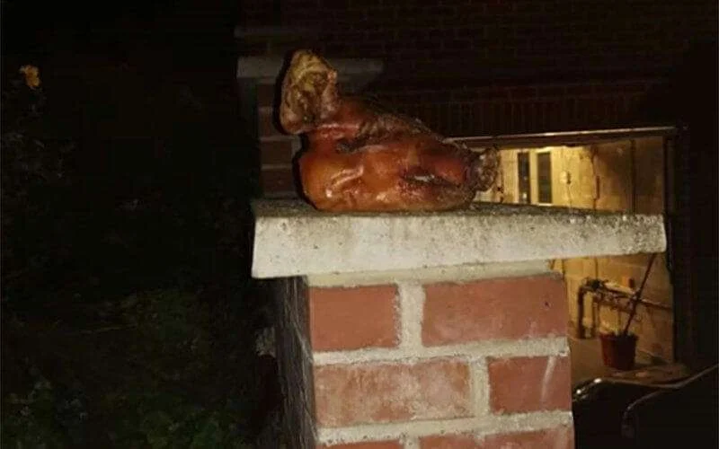 België: moslimgezin vindt varkenshoofd voor huis