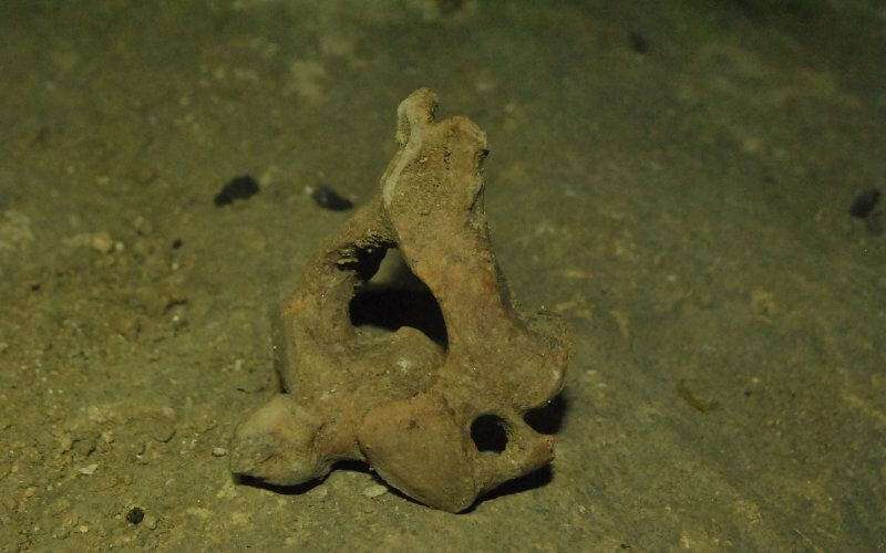 Menselijke resten gevonden in Chichaoua