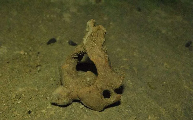 Menselijke resten gevonden in Chichaoua