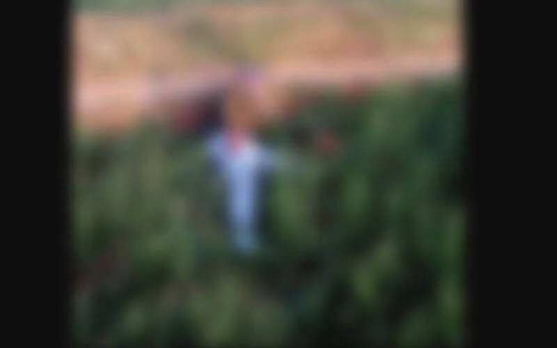 Marokko: verminking, horror en hekserij