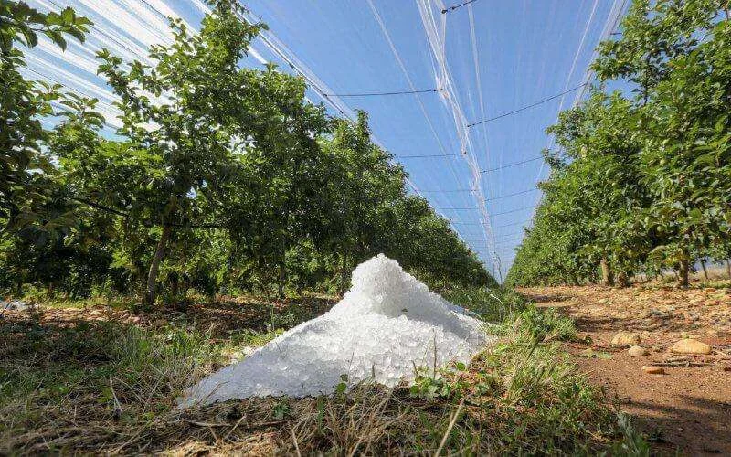 Hagelstorm zorgt voor veel schade in Fez-Meknes