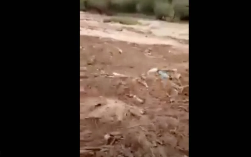 Taroudant onder water (video)