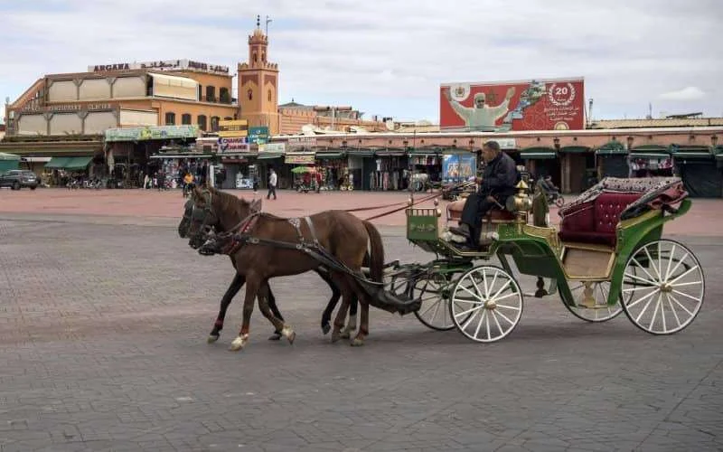 Recessie in Marokko veel erger dan verwacht