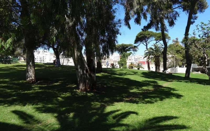 Noord-Marokko maakt werk van ontwikkeling groenvoorzieningen