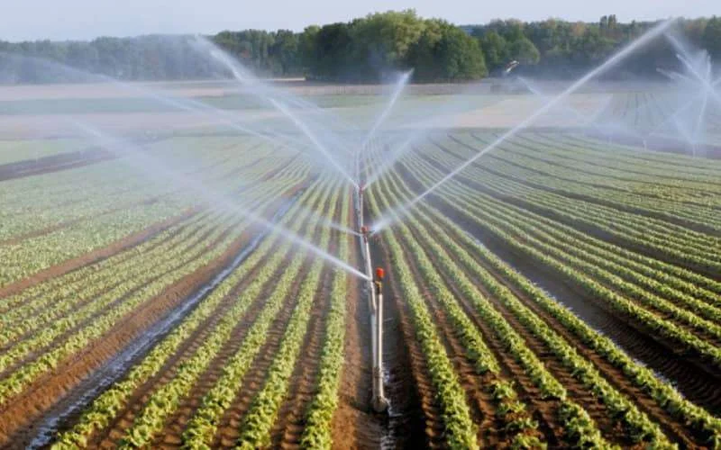 Marokko gaat de strijd aan met ongecontroleerde verstedelijking