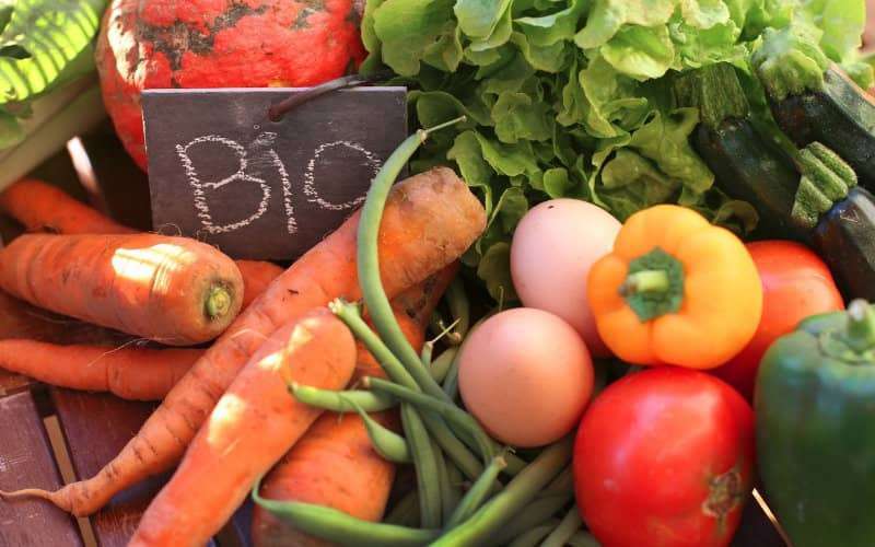 Marokko en Canada willen handel intensiveren