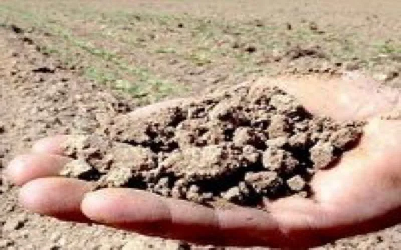 Landbouw: droogte kost 1,53 miljard dirham aan de Staat