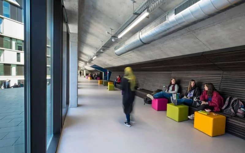 Karel De Grote Hogeschool start onderzoek naar racistische cartoon (foto)